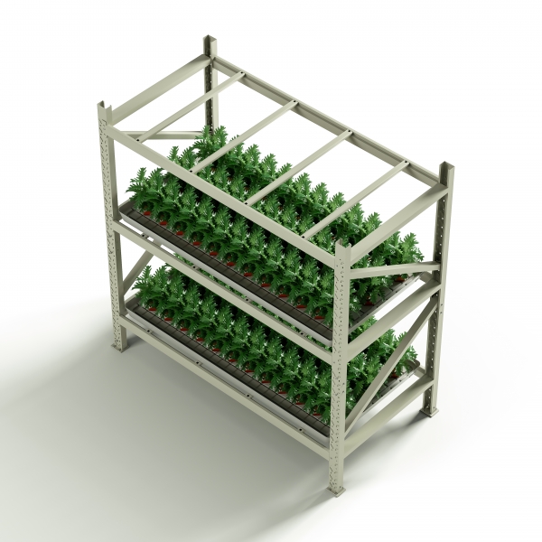 plant grow rack