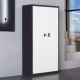 2 Doors two Drawers password cabinet